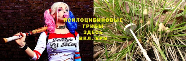 mdpv Алзамай
