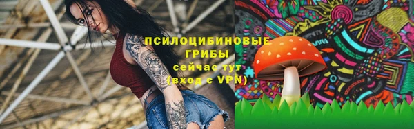 меф Алексин