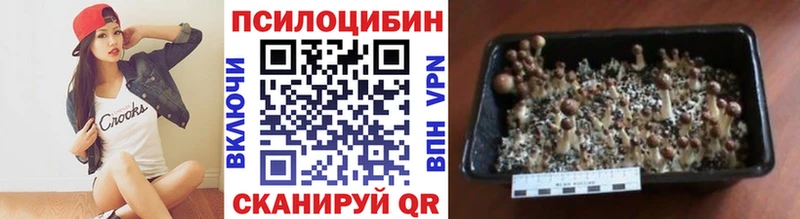 ссылка на мегу   Жирновск  Псилоцибиновые грибы Cubensis 
